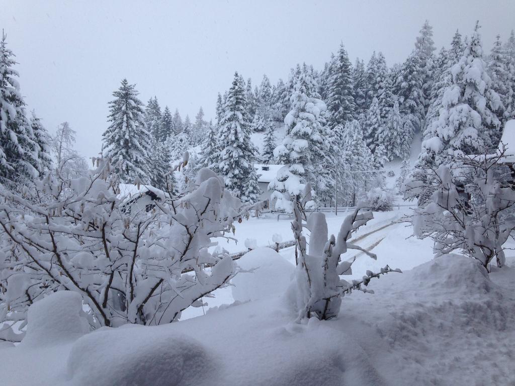 Gaestehaus Arnspitzblick Scharnitz Buitenkant foto